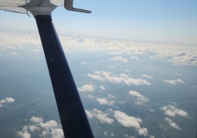 Aerial Survey